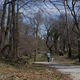 Image for article titled Sony a6000 Review: A Solid Mirrorless Camera That's a Small Step Up